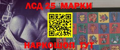 спайс Тара