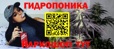спайс Тара