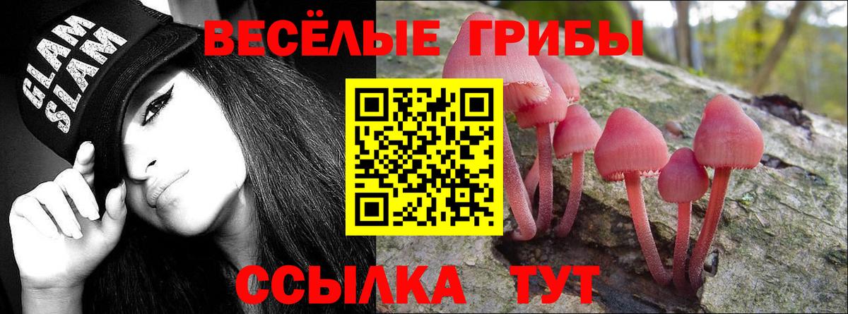 Псилоцибиновые грибы ЛСД Назрань